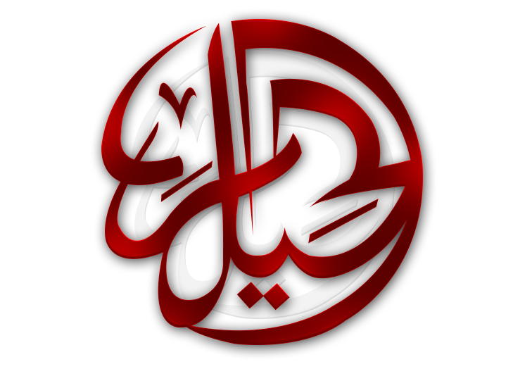 AL-HAIDER INTERNATIONAL TRAVELS & TOURS
